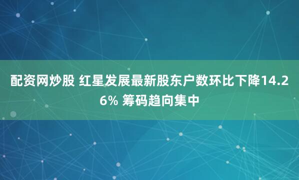 配资网炒股 红星发展最新股东户数环比下降14.26% 筹码趋向集中
